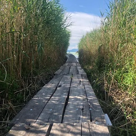 3 Szobas Haz Sajat Steggel Balatonfenyvesen, Vizparti Utcaban, A Totol 50 M-re *